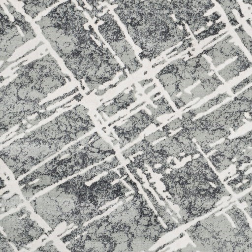 Surya Quatro 7'10" x 10'2" Rug