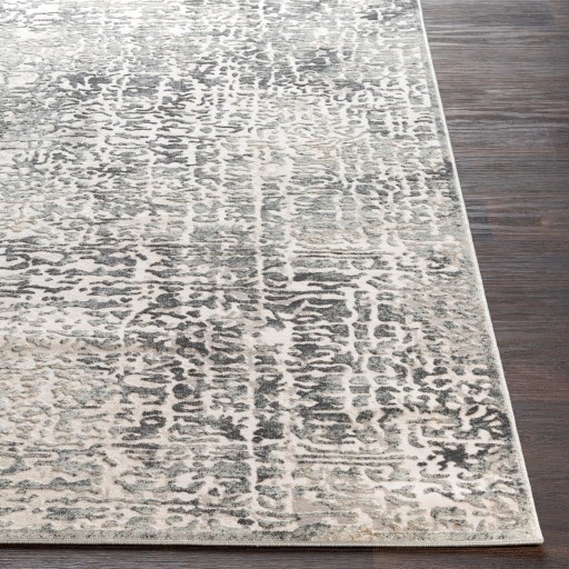 Surya Quatro 2' x 2'11" Rug