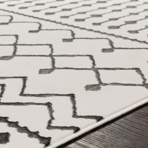 Surya Rabat 2' x 2'11" Rug