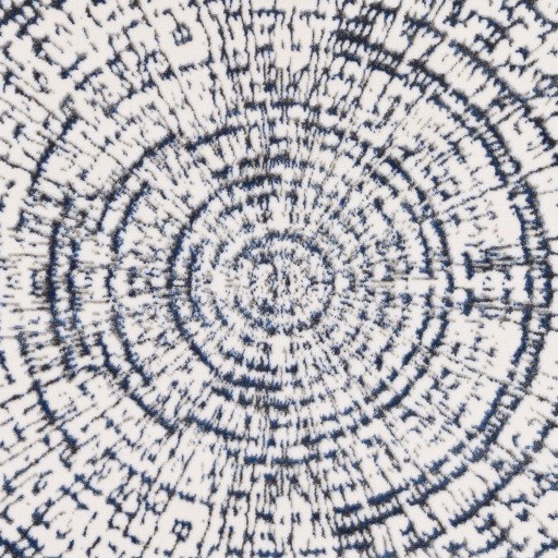 Surya Rabat 2' x 2'11" Rug