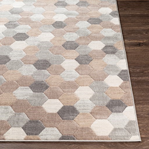 Surya Remy 5'3" x 7'3" Rug