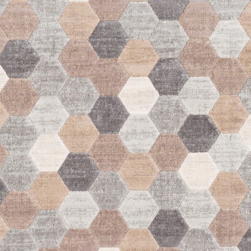 Surya Remy 5'3" x 7'3" Rug