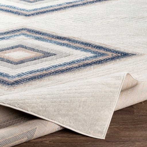 Surya Remy 5'3" x 7'3" Rug