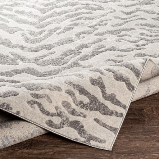 Surya Remy 5'3" x 7'3" Rug