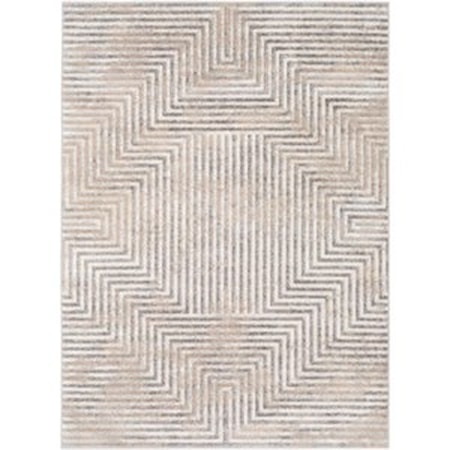 7'10" x 10' Rug