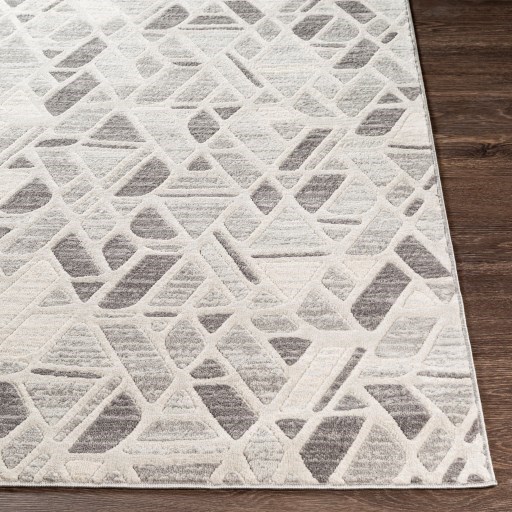 Surya Remy 5'3" x 7'3" Rug