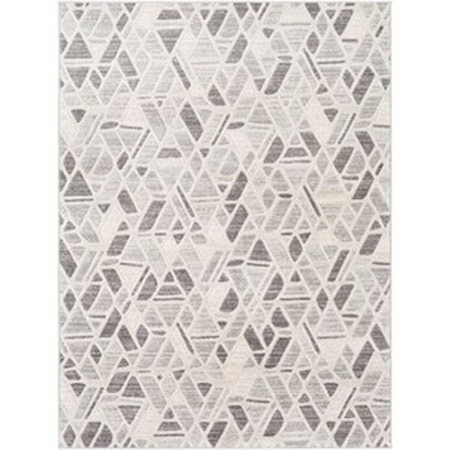5'3" x 7'3" Rug