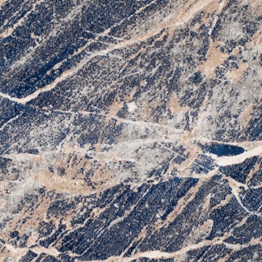 Surya Remy 7'10" x 10' Rug