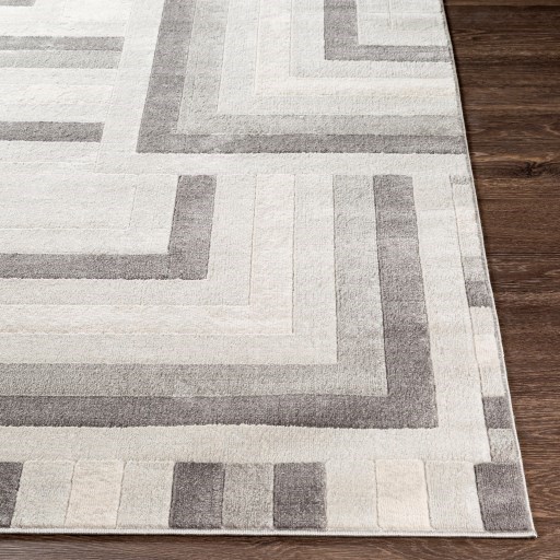 Surya Remy 5'3" x 7'3" Rug
