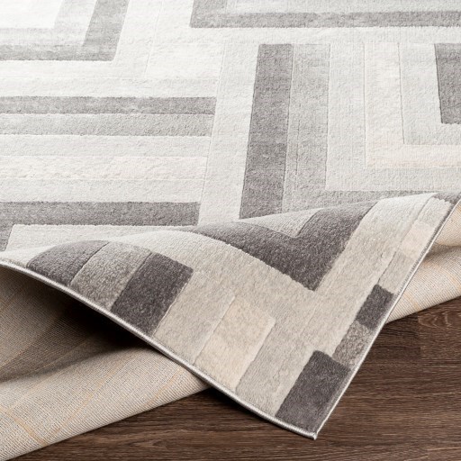 Surya Remy 5'3" x 7'3" Rug