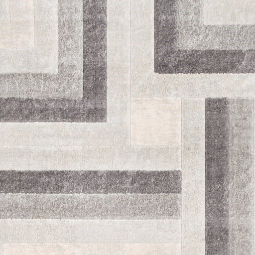 Surya Remy 5'3" x 7'3" Rug