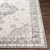 Surya Remy 5'3" x 7'3" Rug