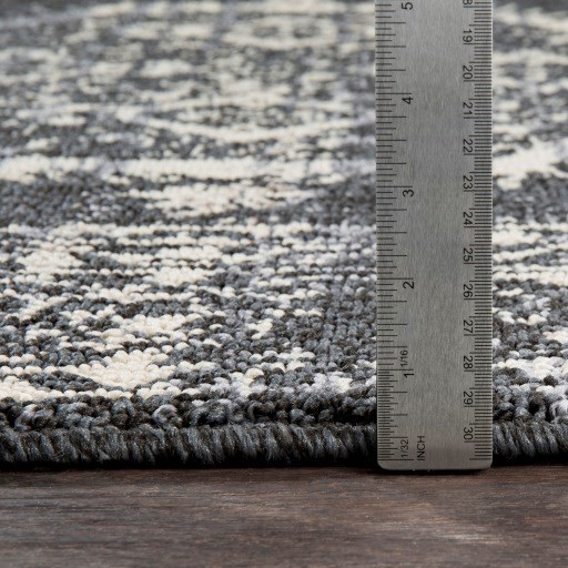 Surya Restoration 3'11" x 5'7" Rug