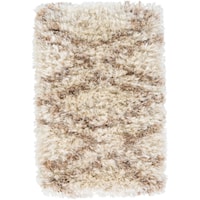 2' x 3' Rug