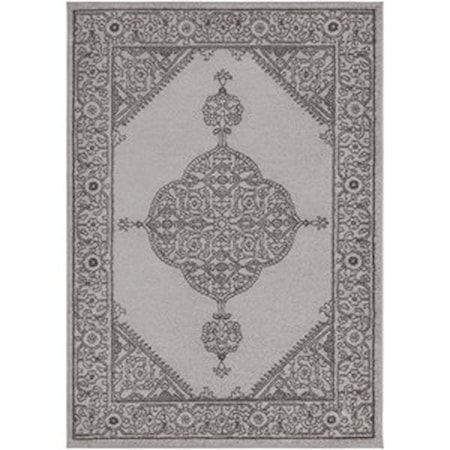 2' x 3' Rug