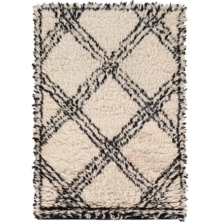 2' x 3' Rug