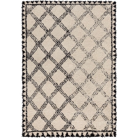 4' x 6' Rug