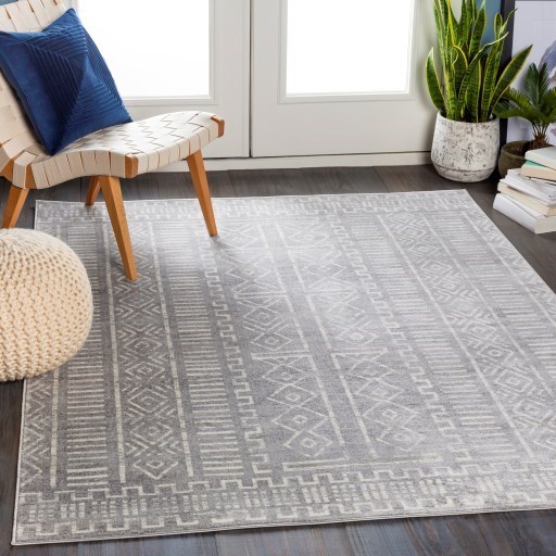 9' x 12'3" Rug