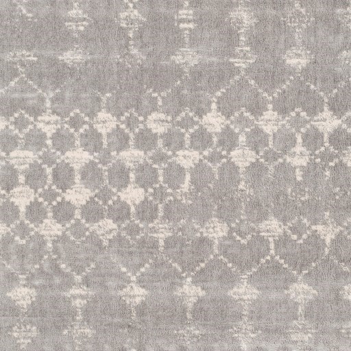 Surya Roma 5'3" x 7'1" Rug