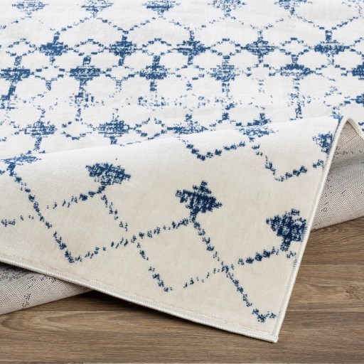 Surya Roma 5'3" x 7'1" Rug