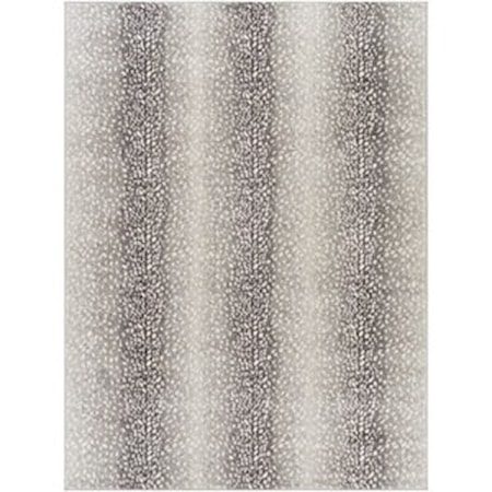 5'3" x 7'1" Rug