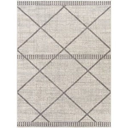 5'3" x 7'1" Rug