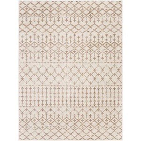 5'3" x 7'1" Rug