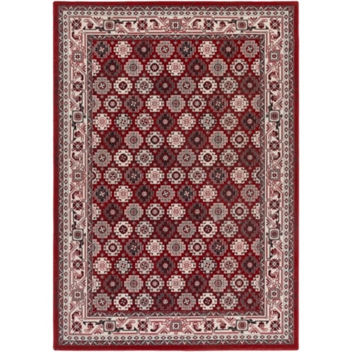 3' 11" x 6' Rug