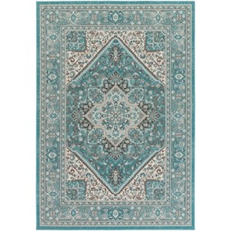 3'11" x 6' Rug