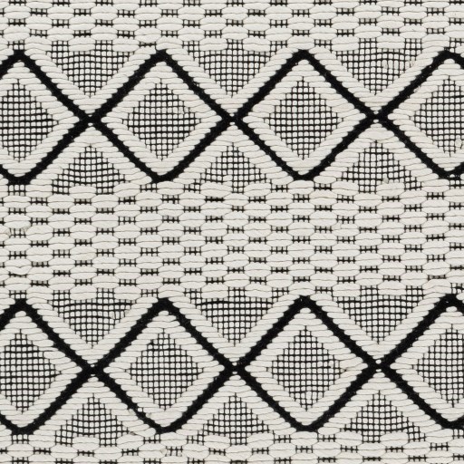 SIC-2301 8'10" x 12' Rug