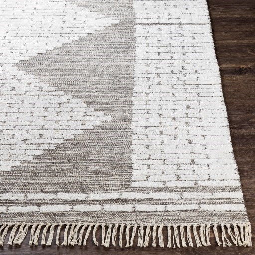 Surya Salinas 2' x 3' Rug