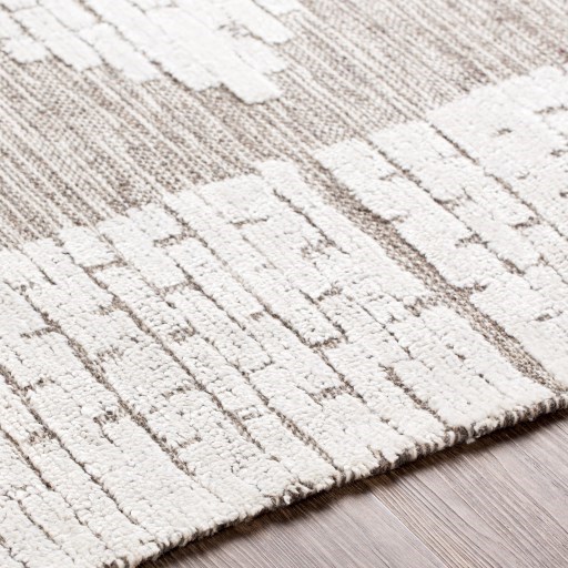 Surya Salinas 2' x 3' Rug