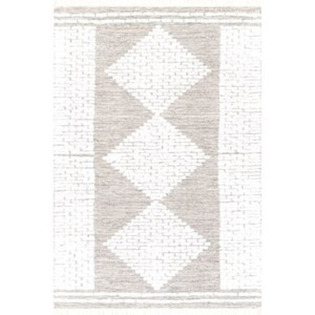 2' x 3' Rug
