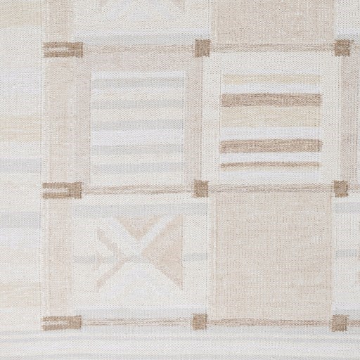 Surya Scandi 2' x 3' Rug