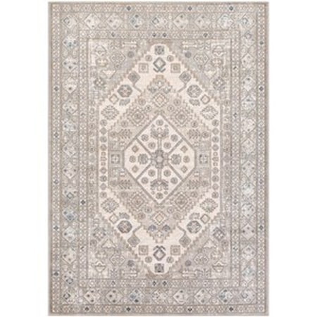 5'3" x 7'3" Rug
