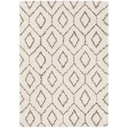 2' x 3' Rug