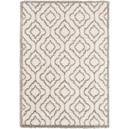 5' 3" x 7' 3" Rug