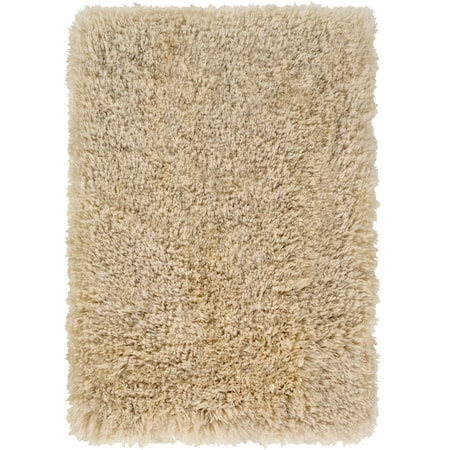 2' x 3' Rug