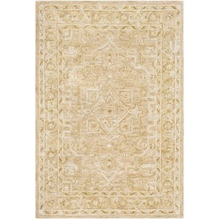 2' x 3' Rug