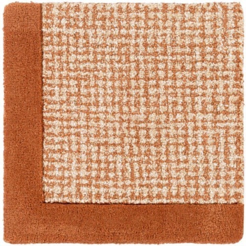 2' x 3' Rug