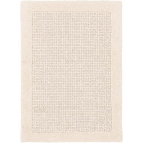 2' x 3' Rug