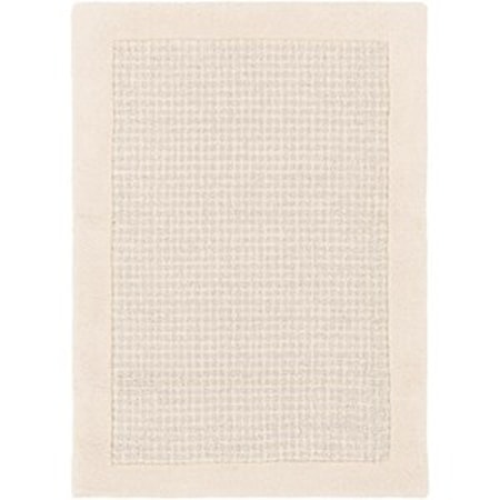 2' x 3' Rug