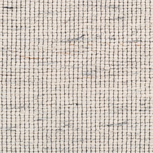 Surya Sierra 2' x 3' Rug