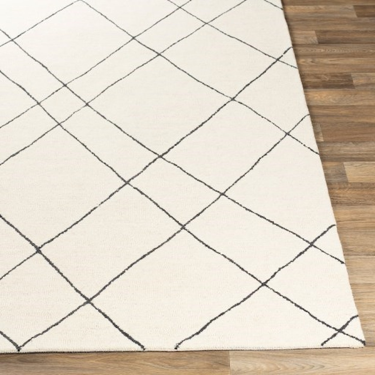 Surya Sinop 4' x 6' Rug