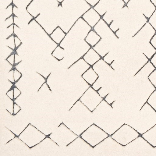 Surya Souk 6' x 9' Rug