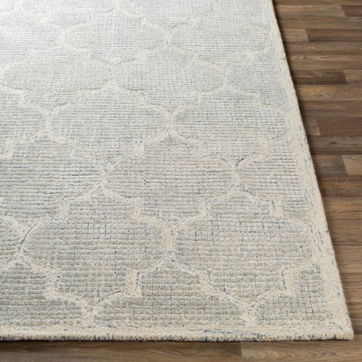 Surya Starlit 2' x 3' Rug