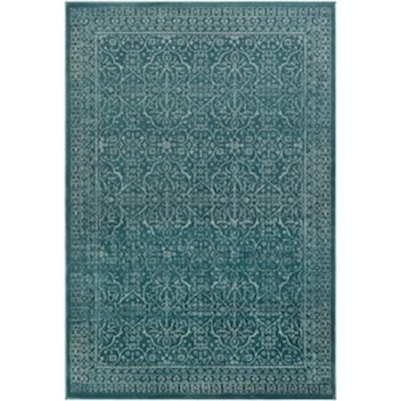 2' x 3'3" Rug