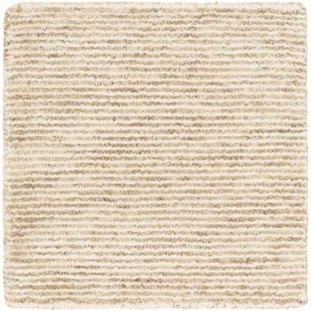 2' x 3' Rug