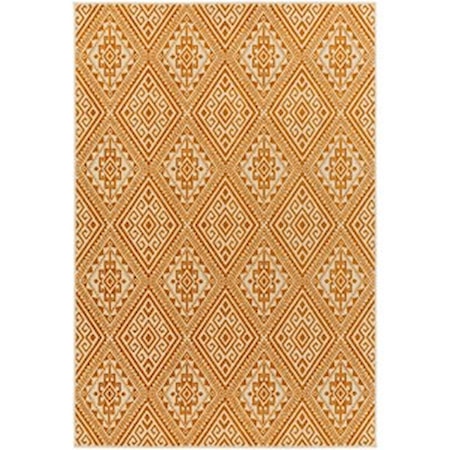 5'3" x 7'3" Rug