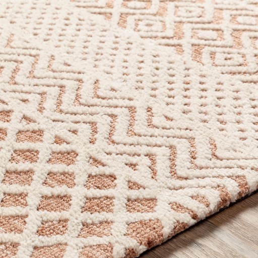 Surya Talise 2' x 3' Rug